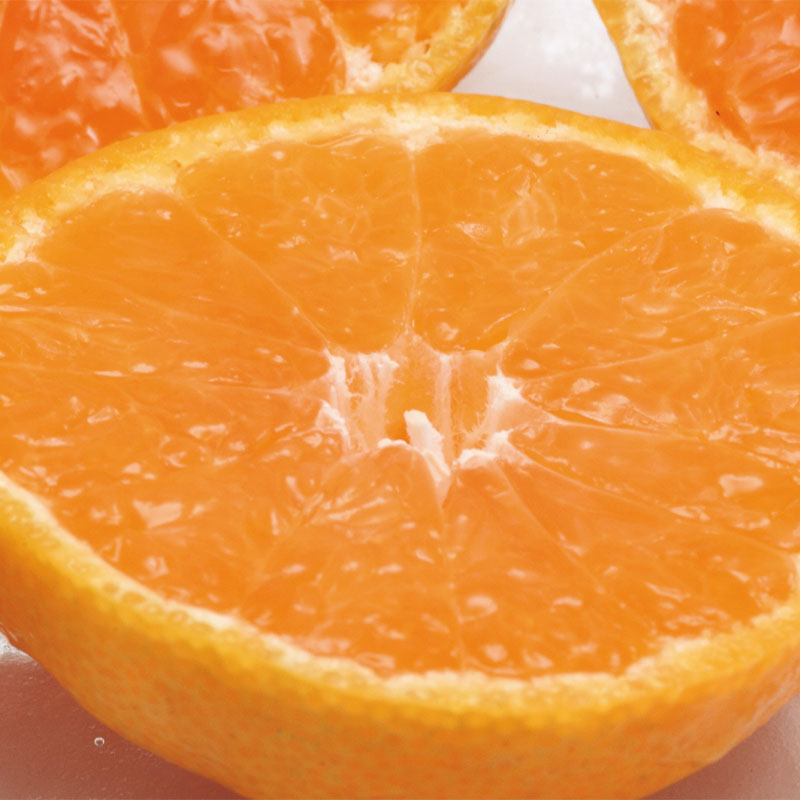 ���Q�݂���@���ƒ�p
