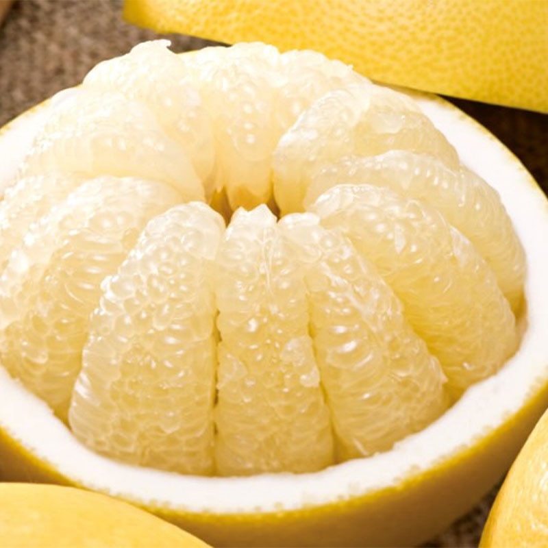 �y�����U�@�����p