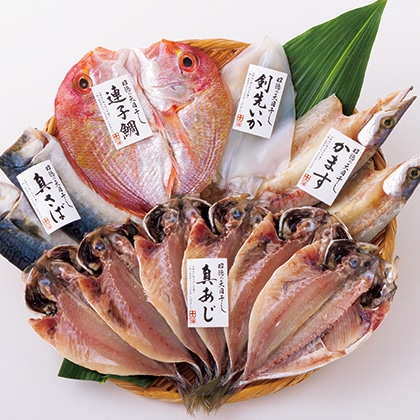 �V�[�{�[�������̓V�������l����