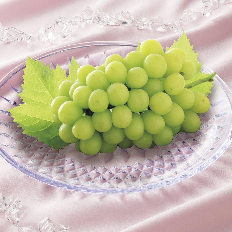 �������������R�̃V���C���}�X�J�b�g�u�����v