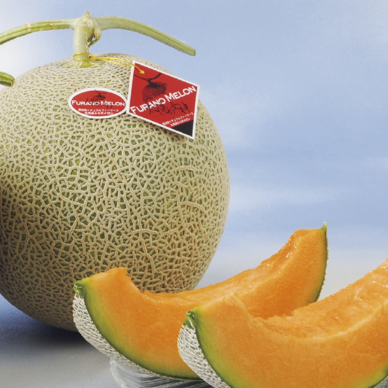 �����������x�ǖ쑾�z�̏��_�������P��