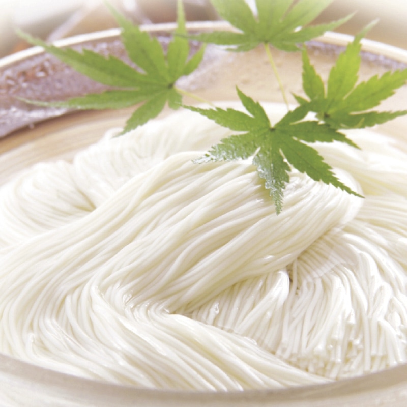 <お中元>さぬき生そうめん10人前つゆ付