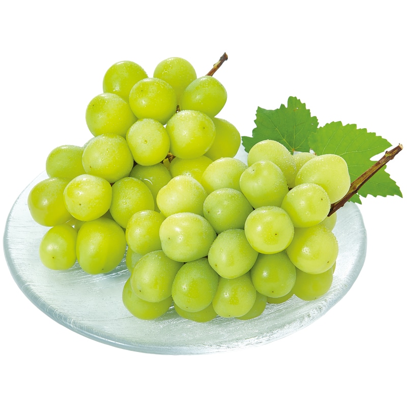 �V���C���}�X�J�b�g�Q�[