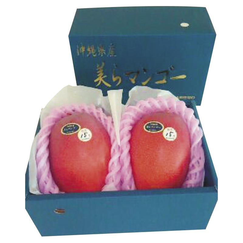 �����������L����Y����}���S�[�@�X�O�O�����x�ۏ�