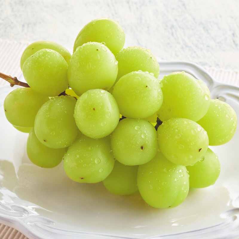 �����������V���C���}�X�J�b�g�T�O�O��