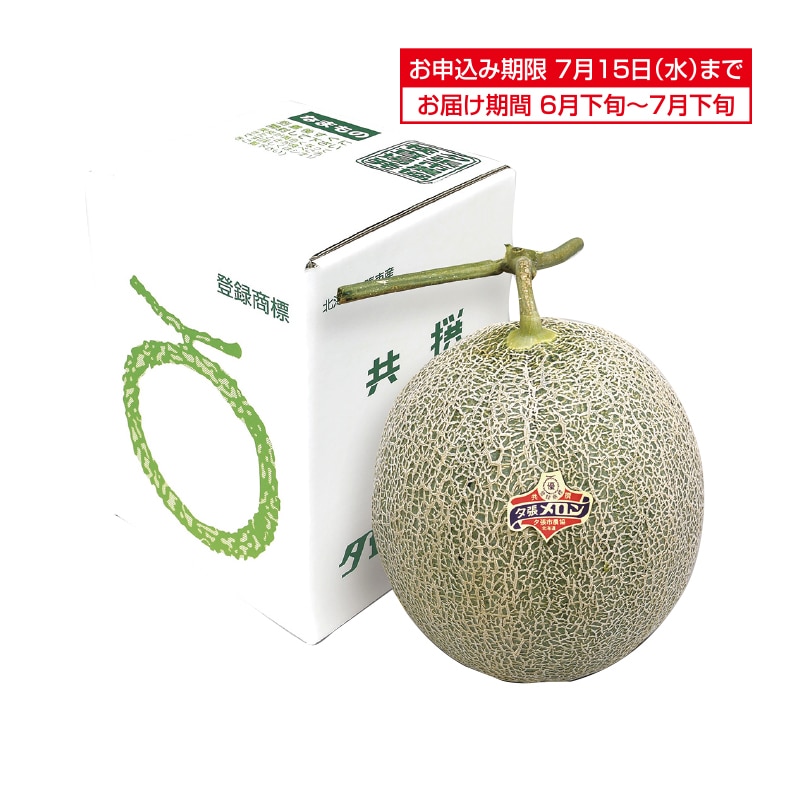 �����������Y�n�����@�k�C���Y�@�[��������