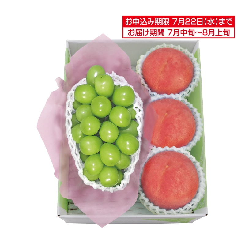 �����������V���C���}�X�J�b�g�����x�Z���T�[�I�ʁ@������
