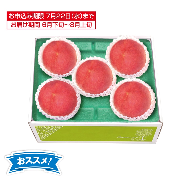 �������������x�Z���T�[�I�ʁ@������