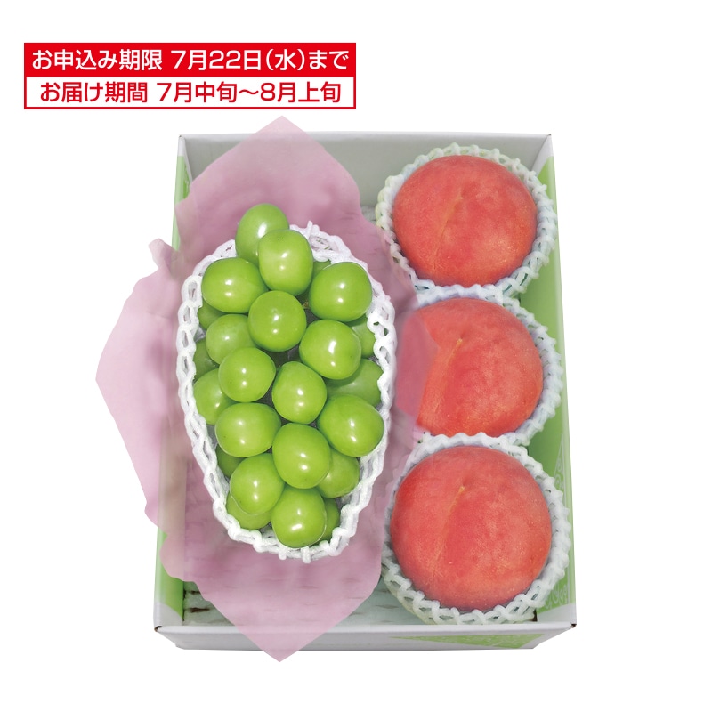 �����������V���C���}�X�J�b�g�����x�Z���T�[�I�ʐ�����