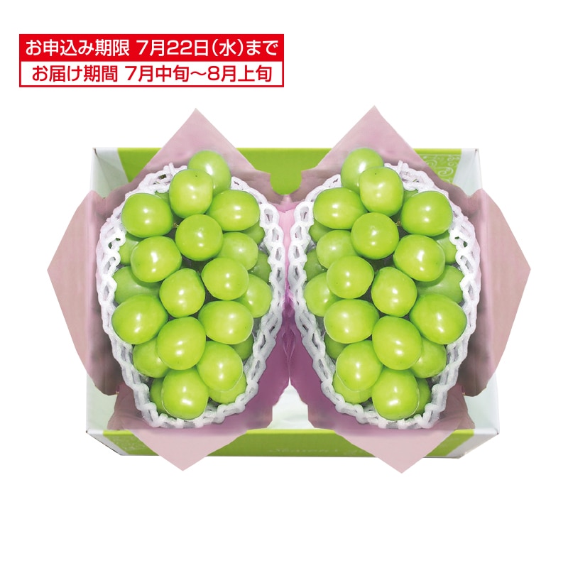 �����������R���E���쌧�Y�V���C���}�X�J�b�g�@�Q�[