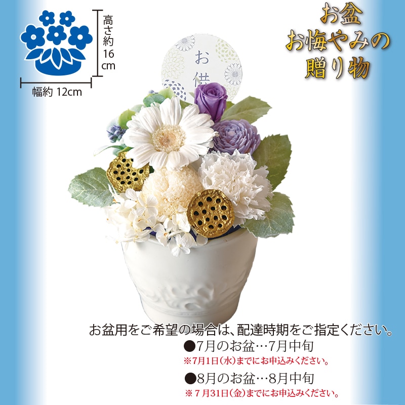 �����������v���U�[�u�h�t�����[�u�������A�����W�v