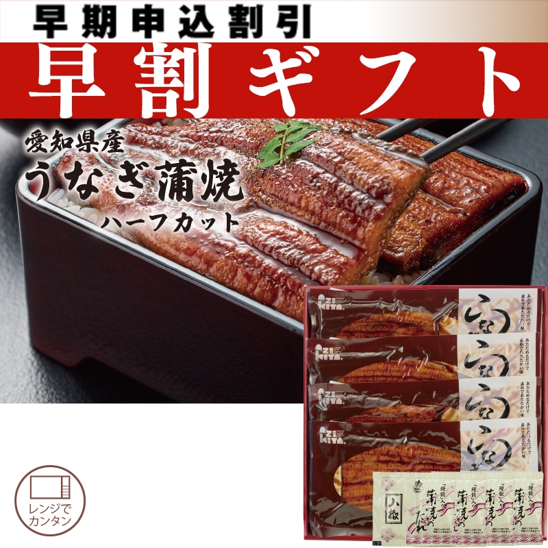<お中元>愛知県産 うなぎ蒲焼C(ハーフカット)