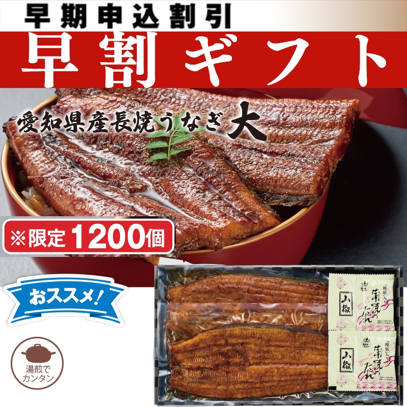 <お中元>愛知県産 長焼うなぎ 大