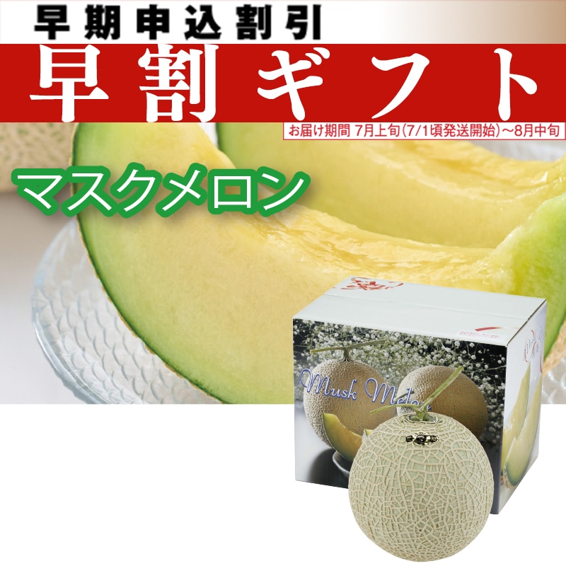 <お中元>愛知県産 マスクメロン1個(大玉)