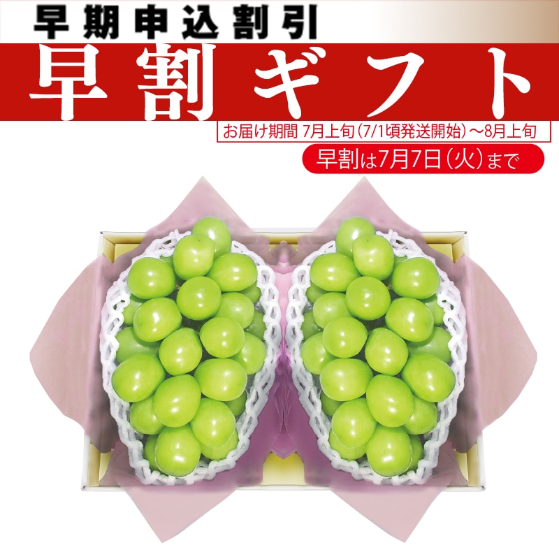 �����������R�������͒��쌧���͉��R���Y�@�V���C���}�X�J�b�g