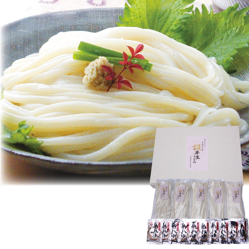 <お中元>さぬきの夢 半生うどん(東日本版)
