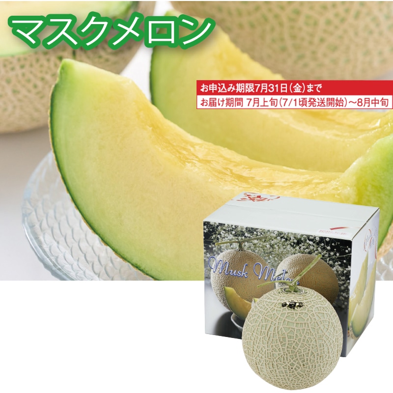 <お中元>愛知県産 マスクメロン1個(大玉)(東日本版)