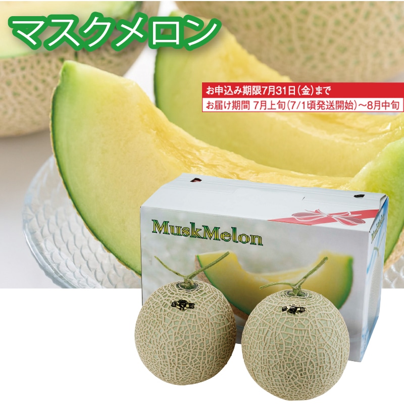 <お中元>愛知県産 マスクメロン2個(東日本版)
