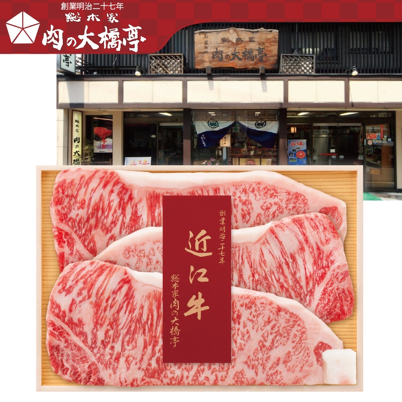 �����������勴���@�ߍ]���T�[���C���X�e�[�L�p�i�����{�Łj