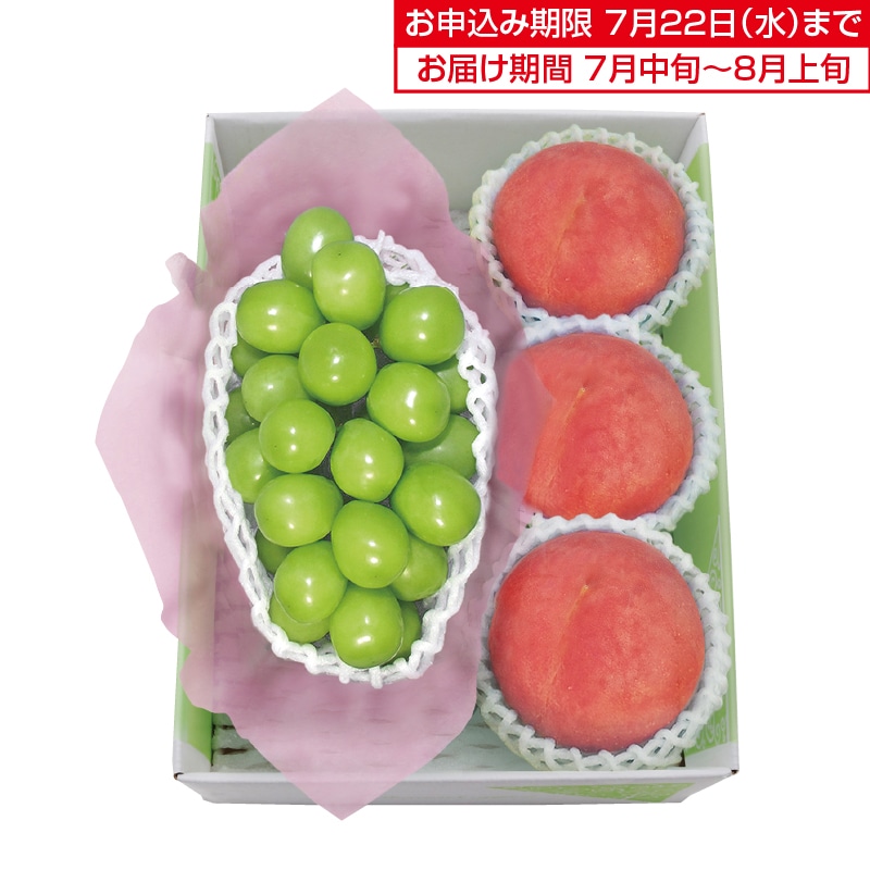 �����������V���C���}�X�J�b�g�����x�Z���T�[�I�ʐ�����