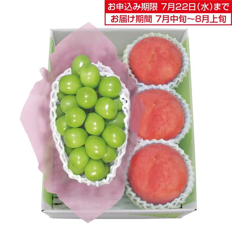 �����������V���C���}�X�J�b�g�����x�Z���T�[�I�ʐ�����
