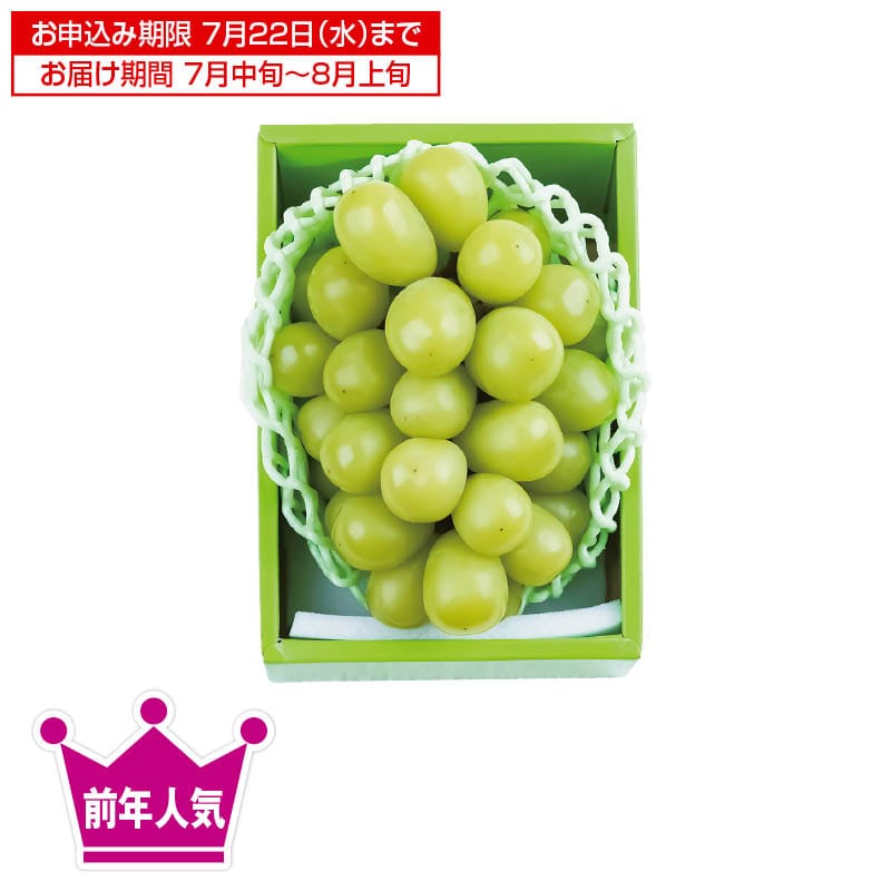 �����������V���C���}�X�J�b�g