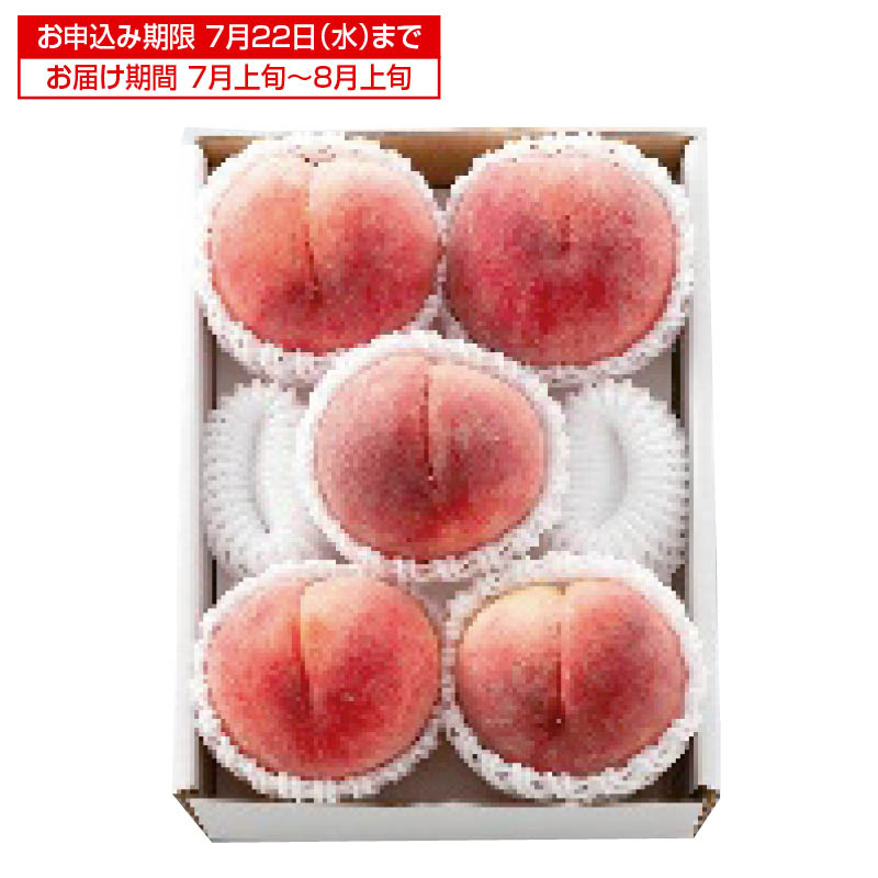 �������������Z���T�[��