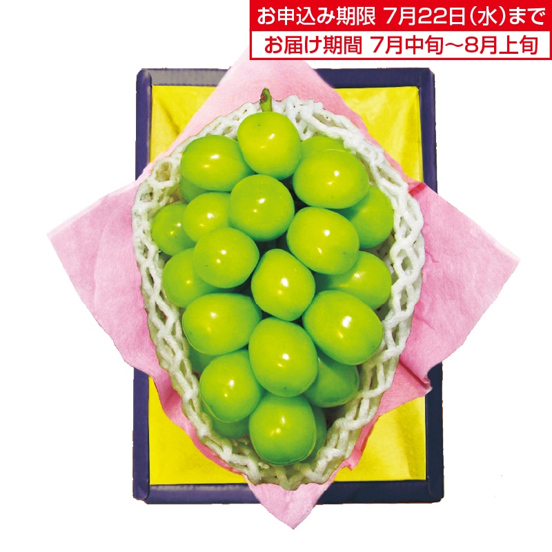 �����������V���C���}�X�J�b�g
