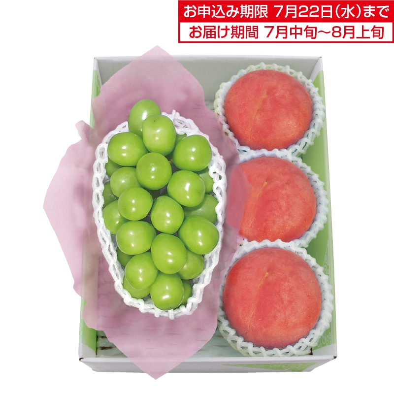 �����������V���C���}�X�J�b�g�����x�Z���T�[�I�ʁ@������