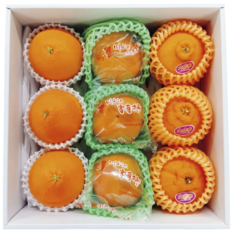 �����Ε遄�{�̃t���[�c�R��l�����@�c