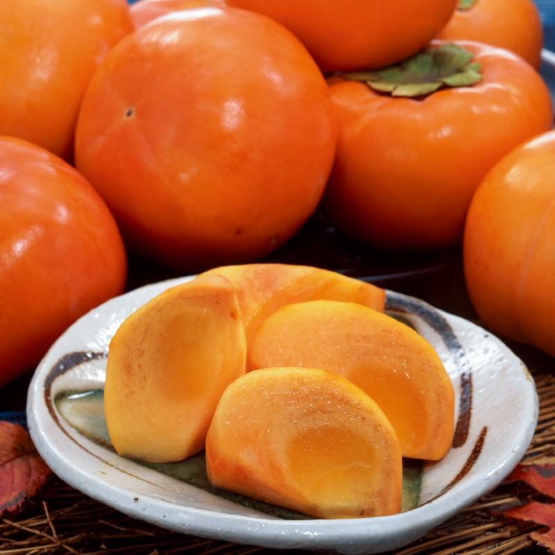 �����Ε遄�i�`�}�O��������@�ቷ�����@�x�L�`