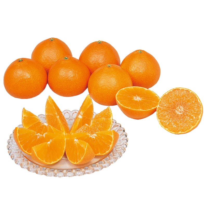 ������p�@�g�܂ǂ��