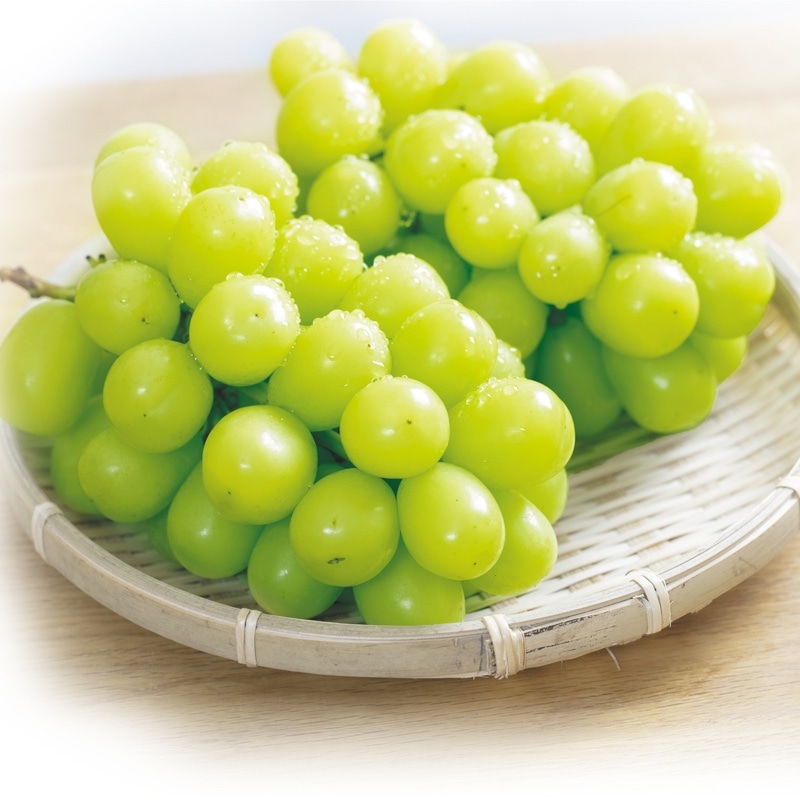 �����Ε遄���o���V���C���}�X�J�b�g