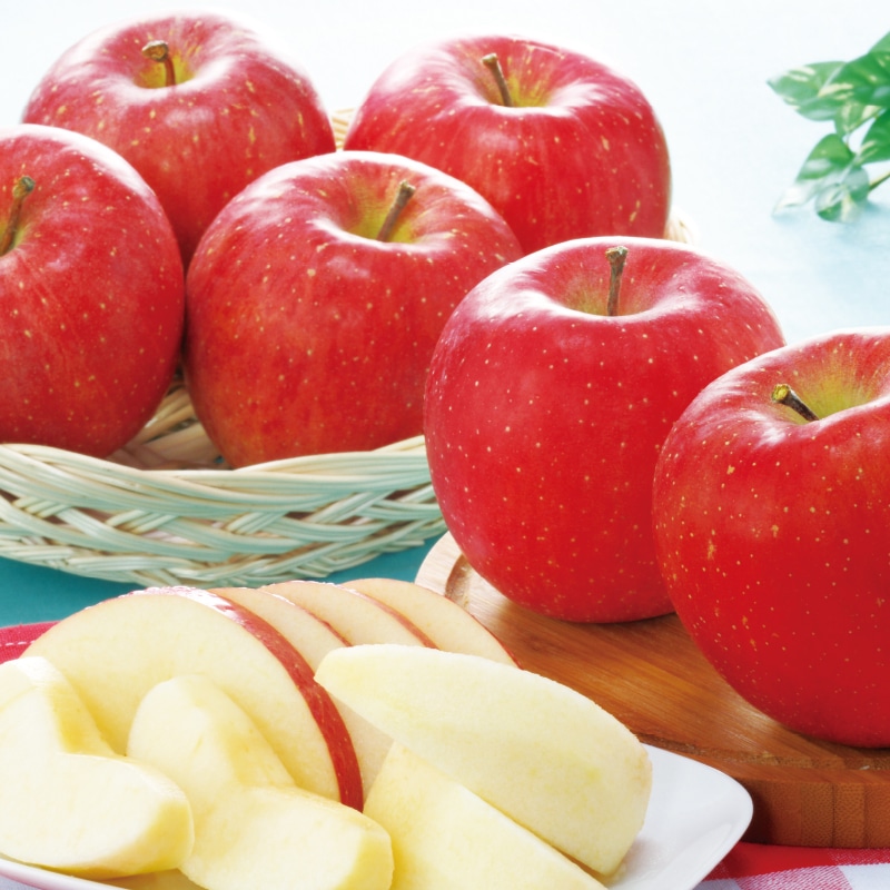 �����Ε遄��茧�Y�@�T���ӂ��i���x�I�ʁj�i�����{�Łj