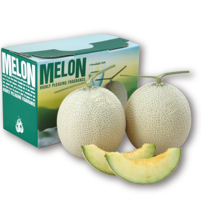 �����Ε遄�F�{���Y�@�}�X�N�������i�����{�Łj
