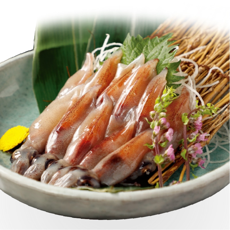 �����̓����y�Ⓚ�z�x�R�p���g���@���ق��邢��