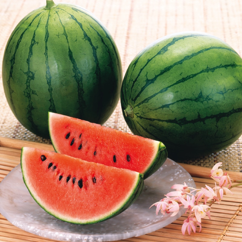 �����̓��������܂�����