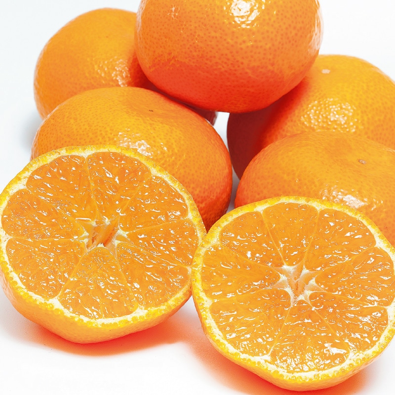 �����̓����n�E�X�݂���