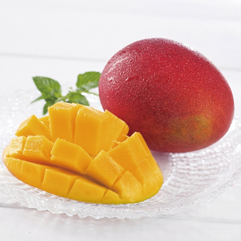 �����̓����{�茧�Y�@���n�}���S�[