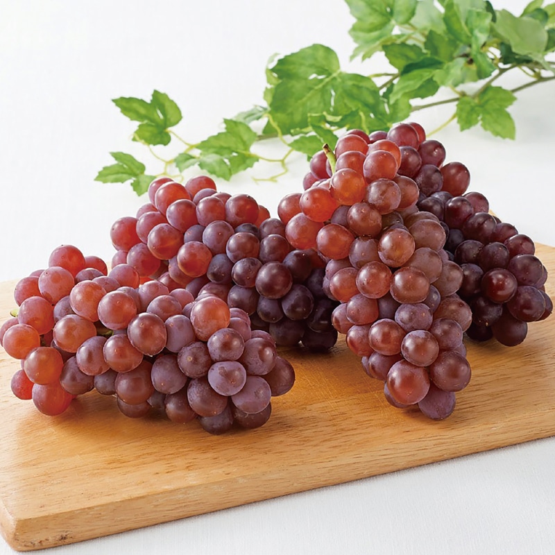 �����̓����f���E�F�A