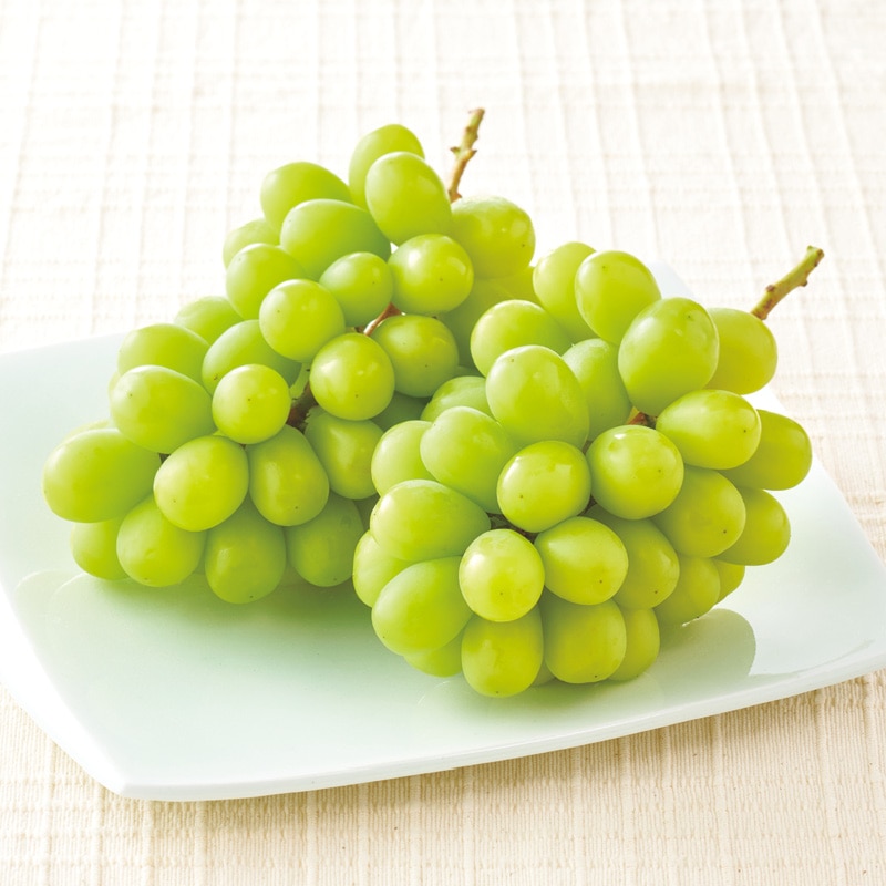���h�V�̓����V���C���}�X�J�b�g�@�U�O�O���i�P�[�j