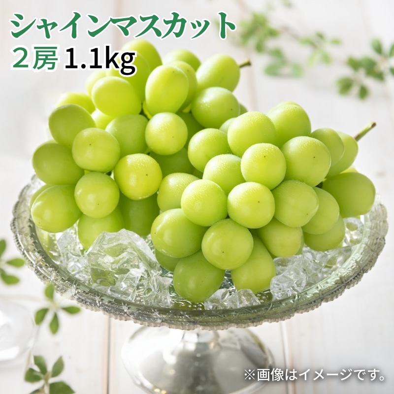 �V���C���}�X�J�b�g�@�Q�[�i�P�D�P�����j