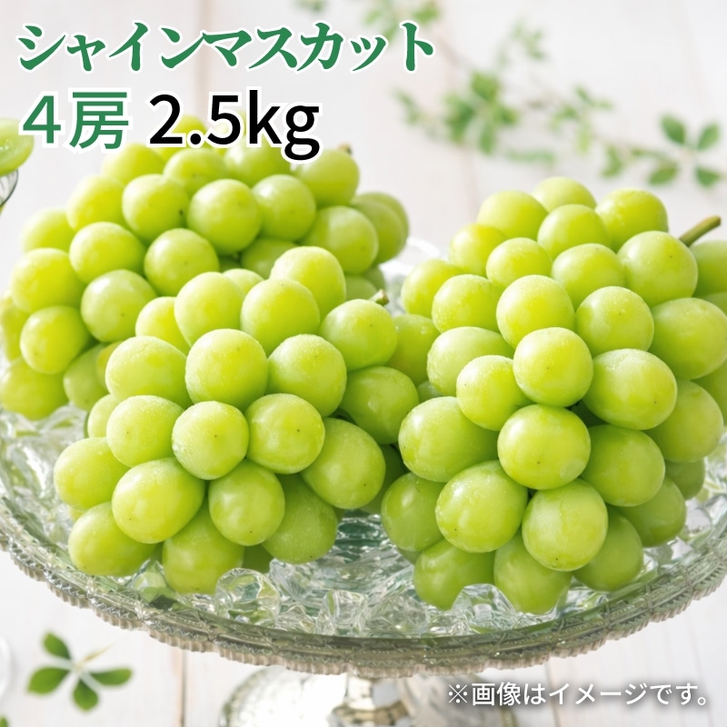 �V���C���}�X�J�b�g�@�S�[�i�Q�D�T�����j