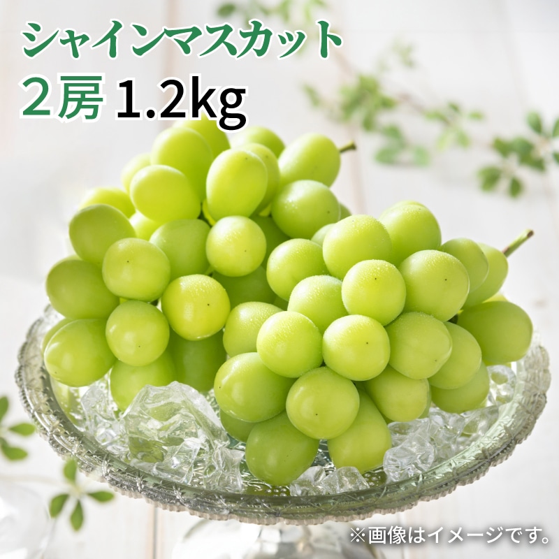 �V���C���}�X�J�b�g�Q�[�i�P�D�Q�����j