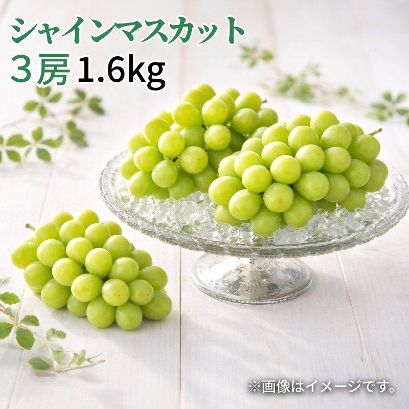 �V���C���}�X�J�b�g�R�[�i�P�D�U�����j
