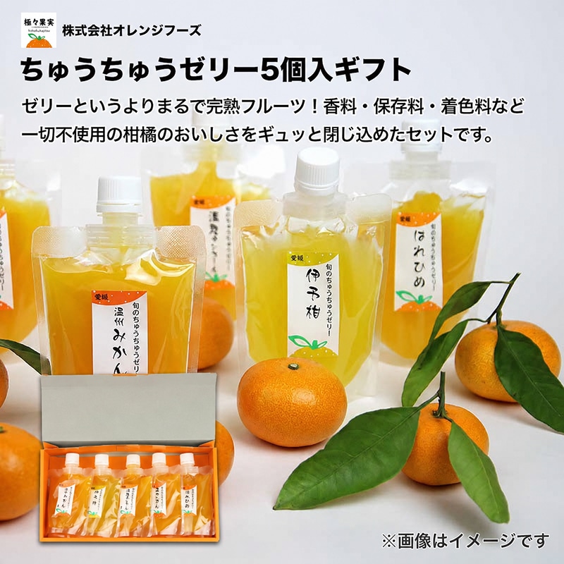 ���イ���イ�[���[�T���M�t�g