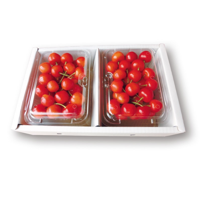 【有限会社マルユー果樹園】佐藤錦または紅秀峰 250g×2(全国合計販売予定数:2000個)※販売開始:5/26(火)9時〜 ※2026年郵便局のさくらんぼ