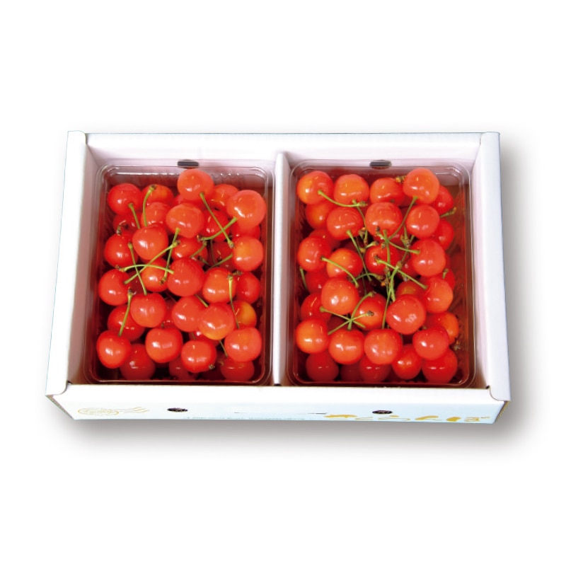 【有限会社マルユー果樹園】佐藤錦または紅秀峰 350g×2(全国合計販売予定数:3000個)※販売開始:5/26(火)9時〜 ※2026年郵便局のさくらんぼ