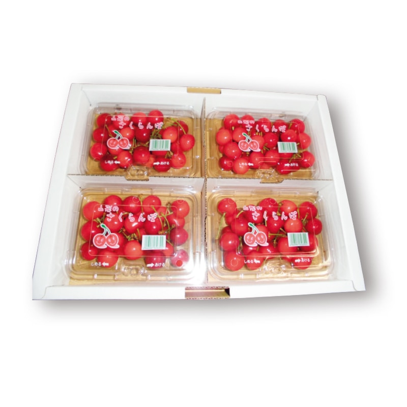 【株式会社旬】佐藤錦 180g×4(全国合計販売予定数:500個)※販売開始:5/26(火)9時〜 ※2026年郵便局のさくらんぼ