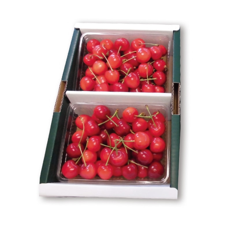 【株式会社旬】佐藤錦 500g×2(全国合計販売予定数:400個)※販売開始:5/26(火)9時〜 ※2026年郵便局のさくらんぼ